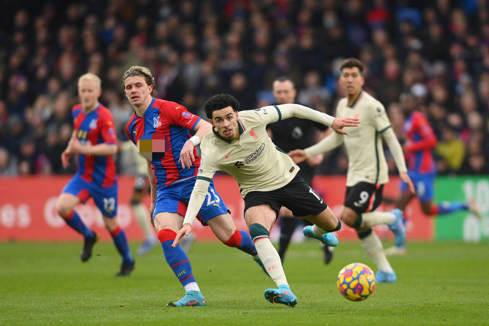 以下几点 以下几点